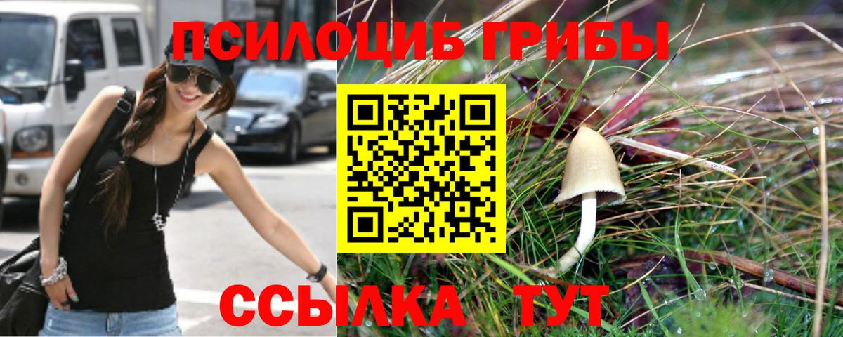 Псилоцибиновые грибы прущие грибы Новосибирск