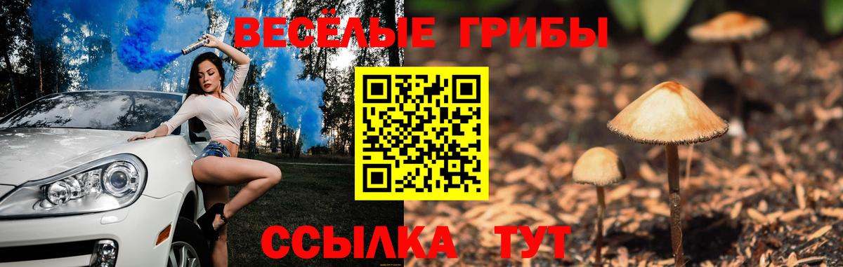 Псилоцибиновые грибы ЛСД  Галлюциногенные грибы Psilocybe  Вход с VPN  дарнет шоп  Новосибирск 